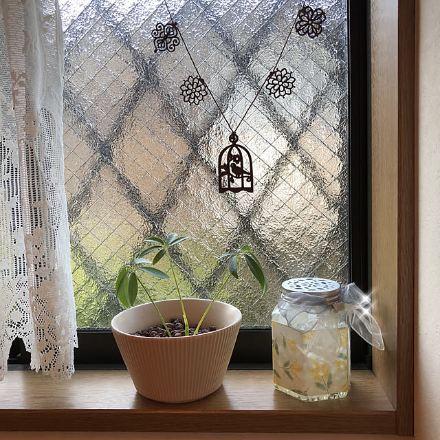 katoponさんの部屋