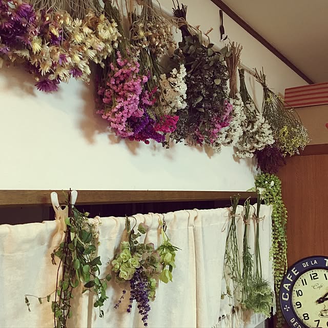 壁/天井/ナチュラルのインテリア実例 - 2017-06-10 01:46:27