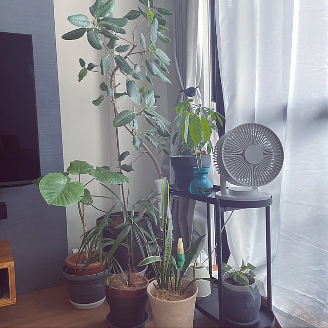 akoさんの部屋