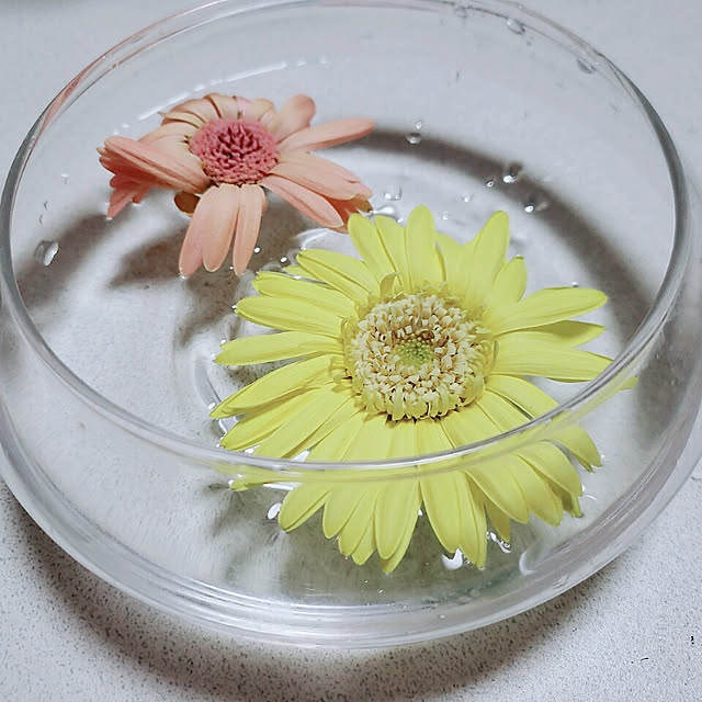 yukikoromochiさんの実例写真