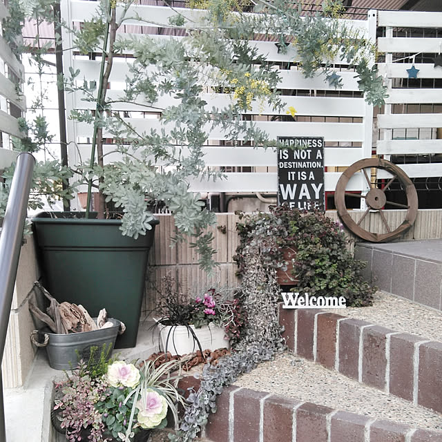 yuu0489さんの実例写真