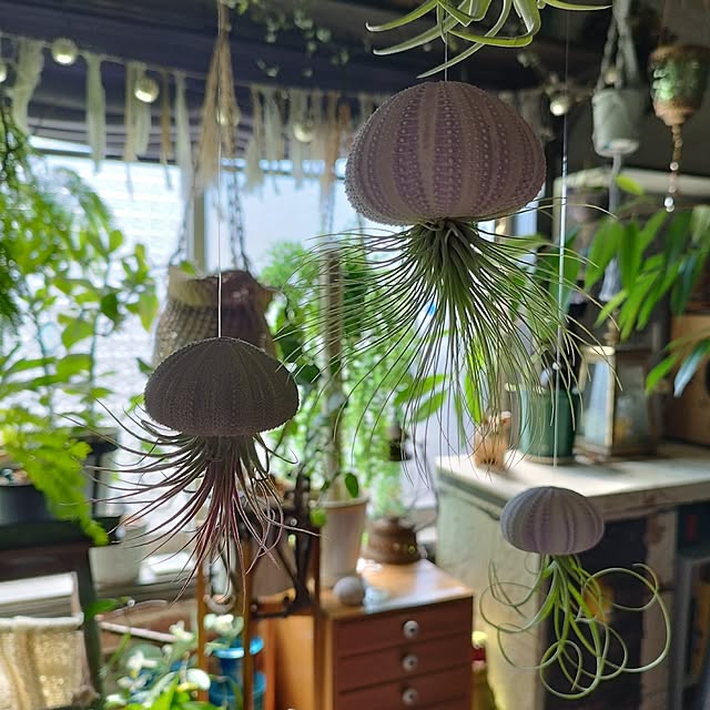 hiro3さんの部屋