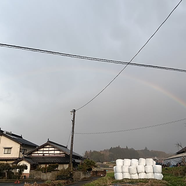 sumimarumiさんの部屋