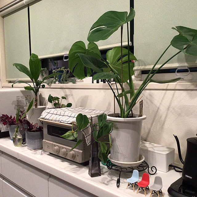 houenさんの部屋
