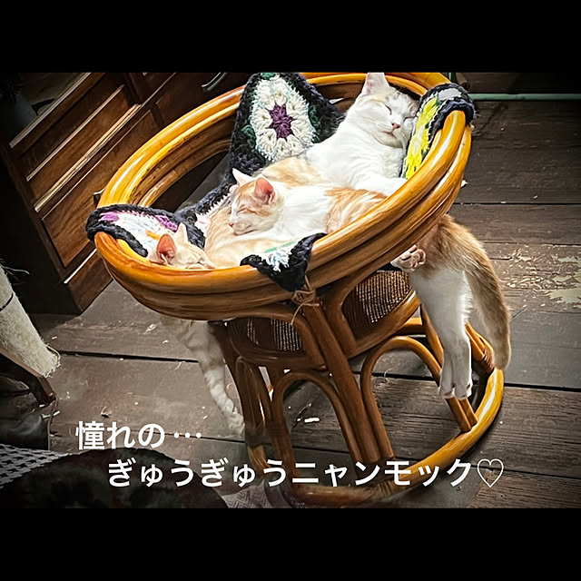 marusanさんの実例写真
