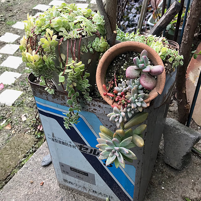 bibianさんの実例写真