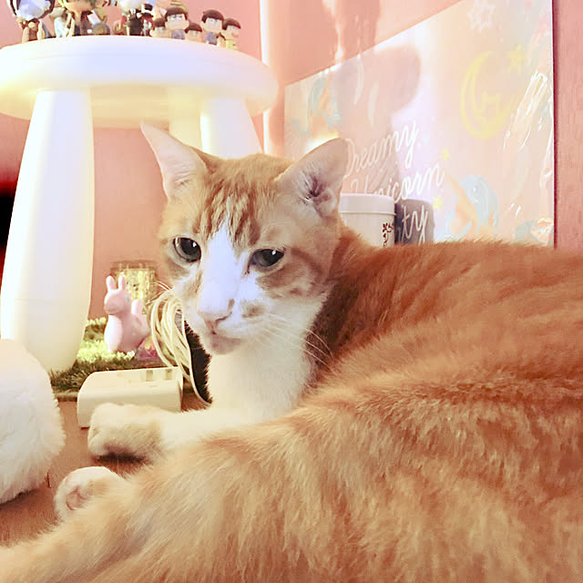 brbrnknkさんの実例写真
