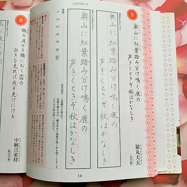 eshinobumさんの実例写真