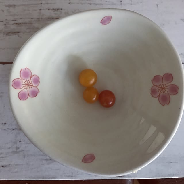 seroriさんの実例写真