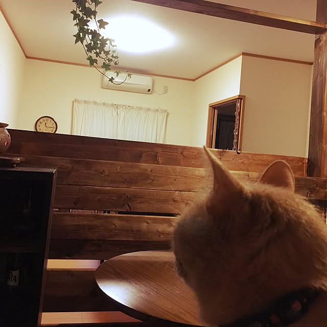 mikan161さんの実例写真