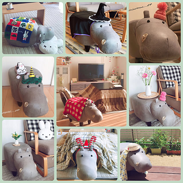 mangoさんの実例写真