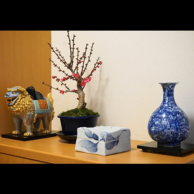 aromameさんの実例写真