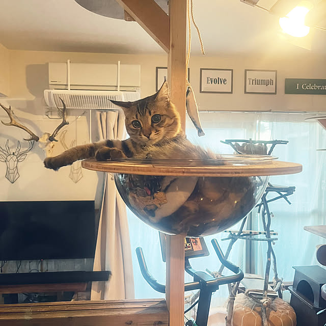 Mさんの実例写真