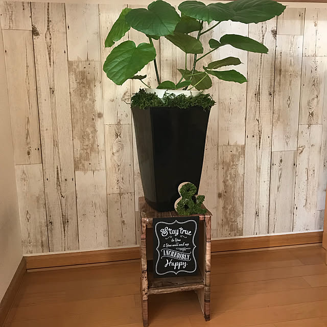 Akiさんの実例写真