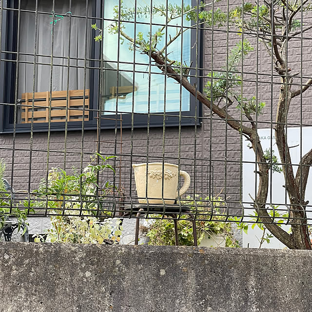kikiさんの部屋