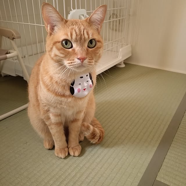 mayutan.さんの部屋