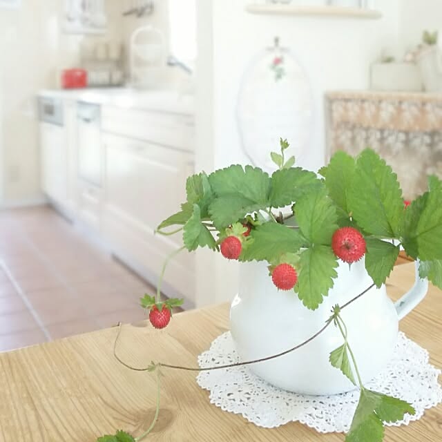 s.mamaさんの実例写真