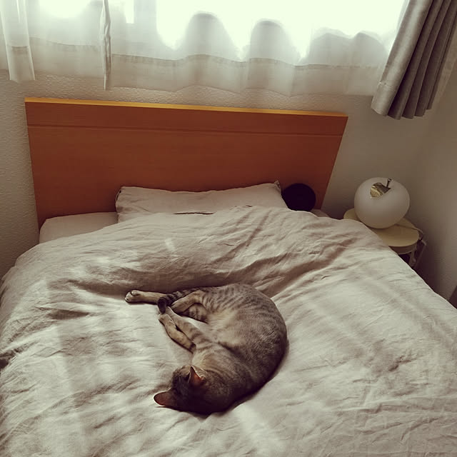 yukiさんの実例写真