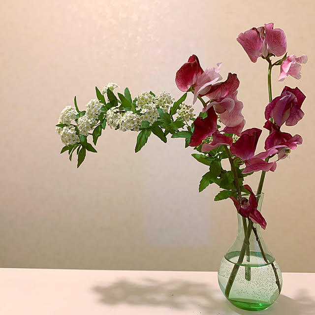 eshinobumさんの実例写真