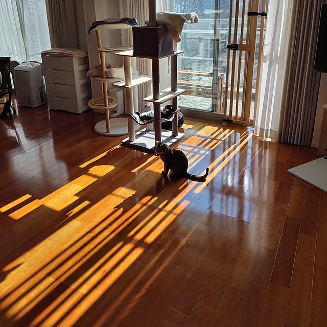 haruissaさんの部屋