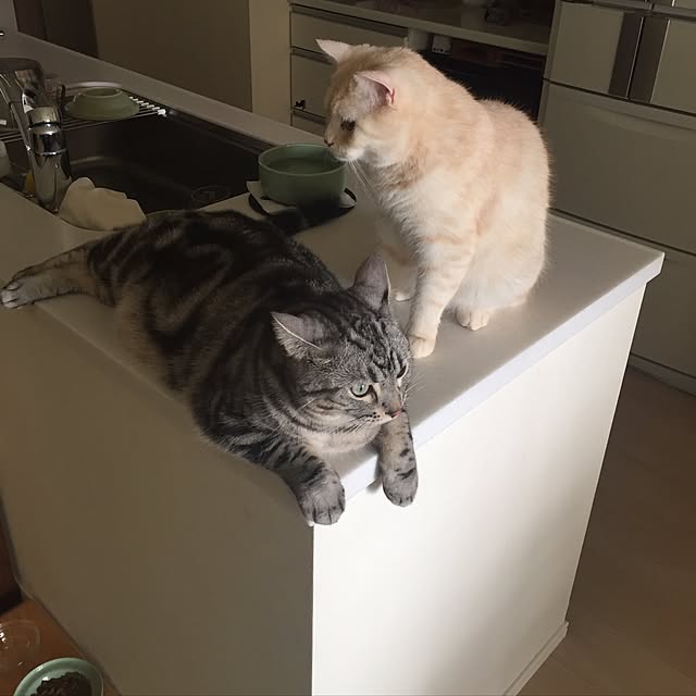 y.k.0123さんの実例写真