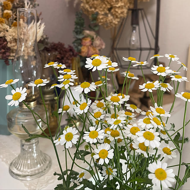 mamanさんの実例写真