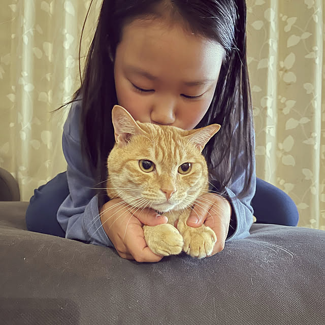 chiiさんの部屋