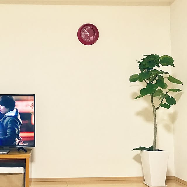 fuuuさんの実例写真