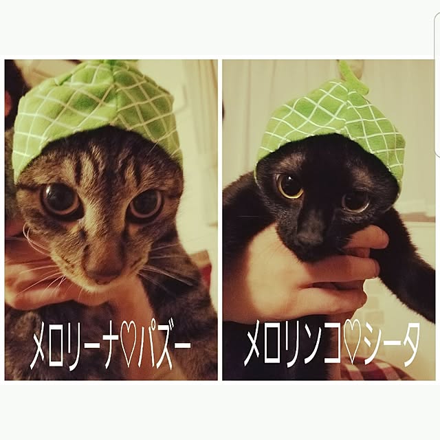 k-ai323さんの実例写真