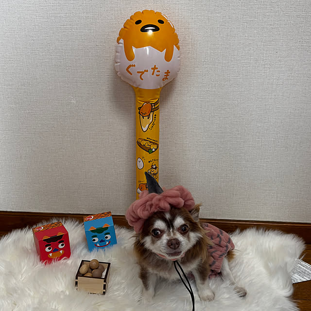 chIoeさんの実例写真