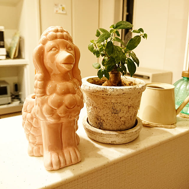 snowdropさんの実例写真