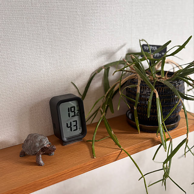 greycatsさんの部屋