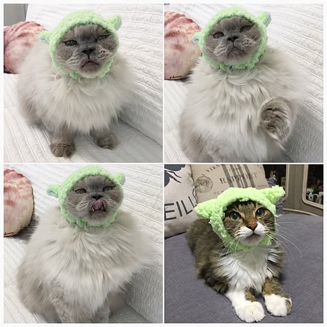 yuchiさんの実例写真