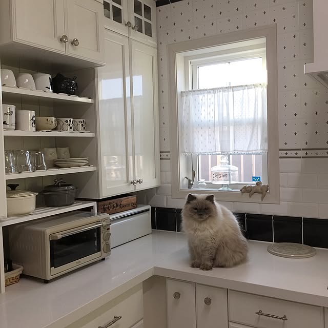 yuchiさんの実例写真