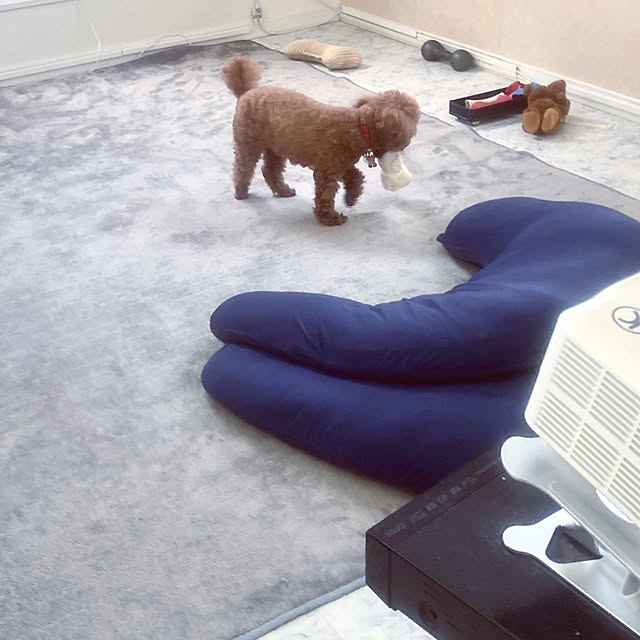 MOMOMAMAさんの部屋