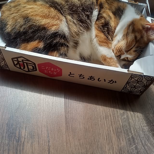 tukuriteさんの実例写真