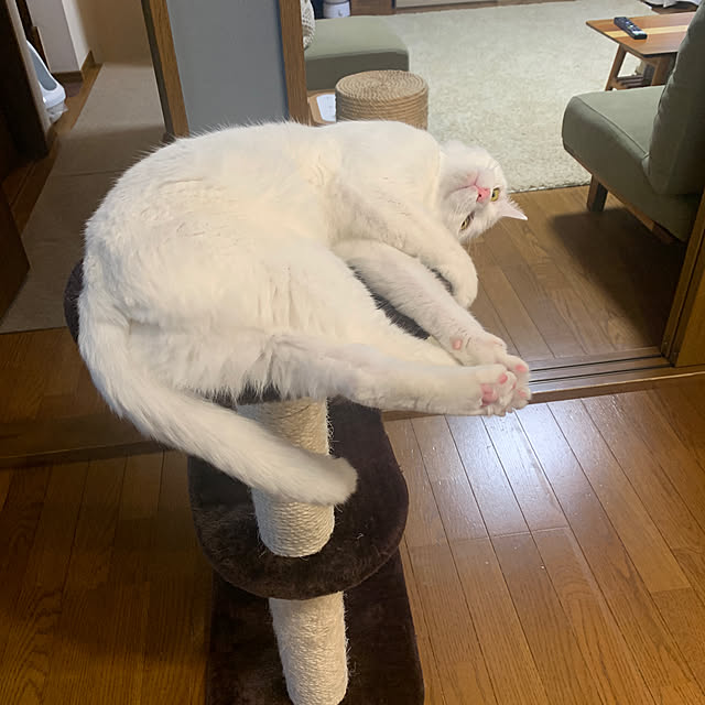 keiさんの実例写真