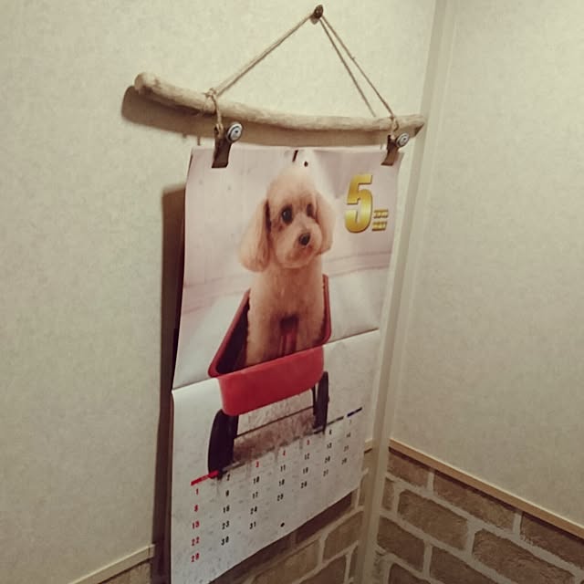 Reiさんの実例写真