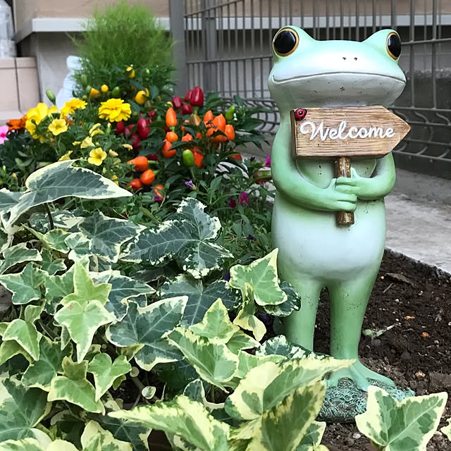 mionaさんの実例写真