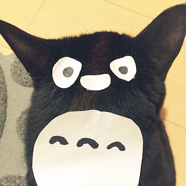 Ericaaaさんの実例写真