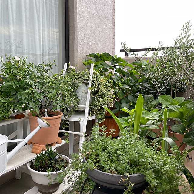 yasuyo66さんの部屋