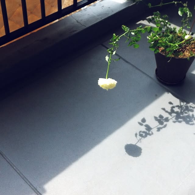 huu.さんの実例写真