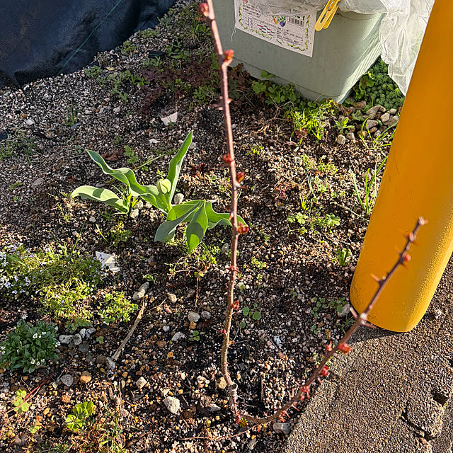 ritsukoさんの部屋