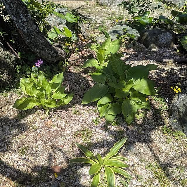 kuririnmamaさんの部屋