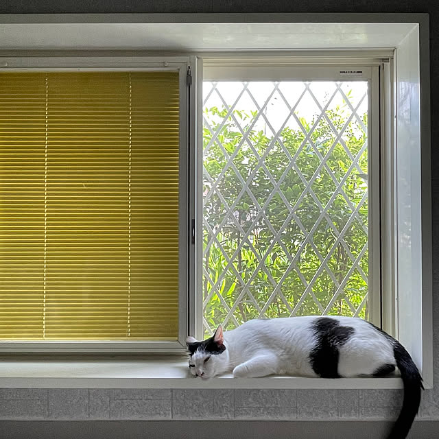 nobikoさんの部屋