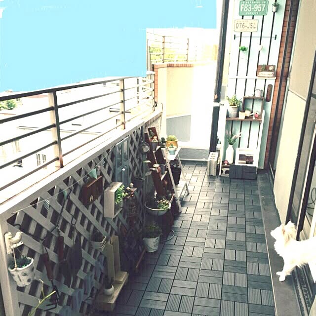 moeさんの実例写真