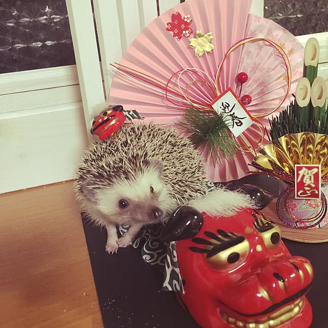 RURULOVEさんの実例写真