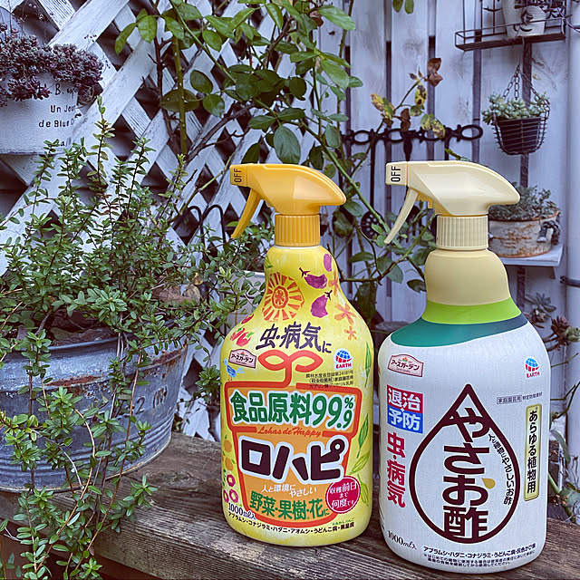 mintteaさんの実例写真