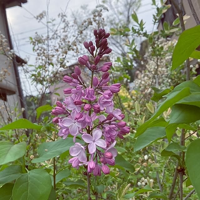 min_nimさんの実例写真