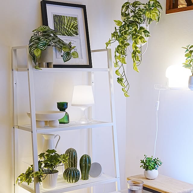 misaki.tさんの部屋